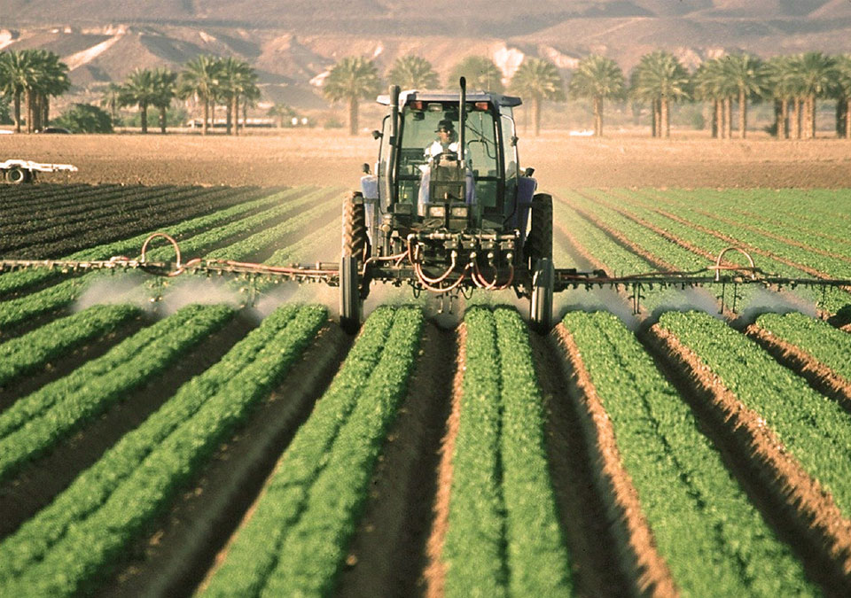 agricoltura fitosanitari pesticidi